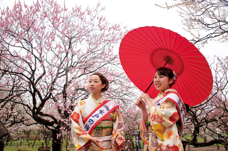 vườn mơ Kairakuen